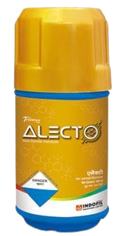 ALECTO