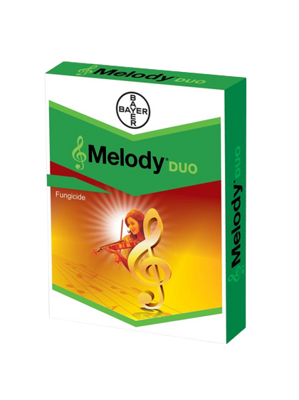 Melody Duo