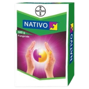 Nativo Fungicide