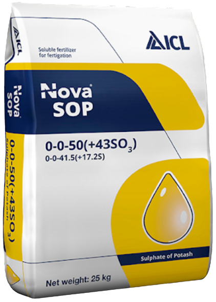 Nova SOP