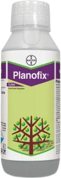 PLANOFIX