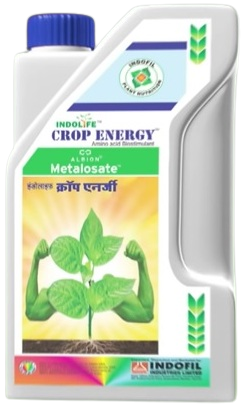 INDOLIFE CROP ENERGY