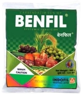 Benfil