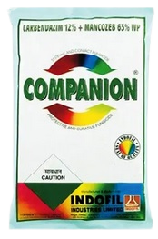 Companion