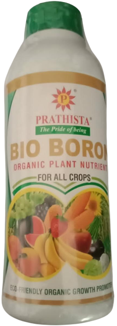 Bio Boron