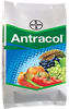 Antracol 70 Wp