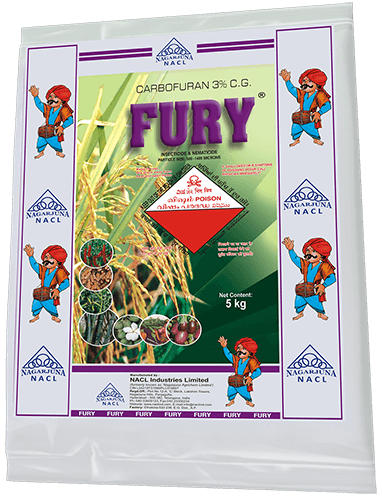 FURY