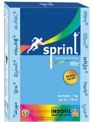 Sprint