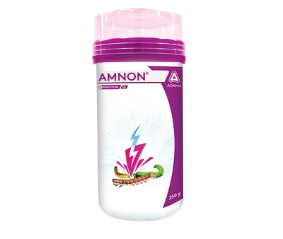 Amnon Insecticide