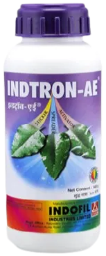 Indtrone AE
