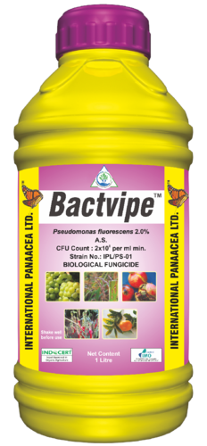 Bactvipe